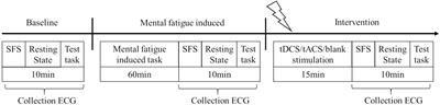 The effect of transcranial electrical stimulation on the relief of mental fatigue